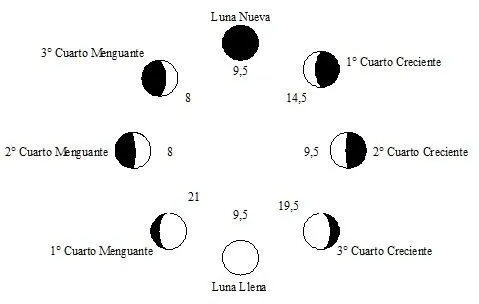 4 fases lunares dibujo - Imagui