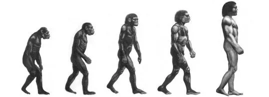 Imagenes de la evolucion del hombre para dibujar - Imagui