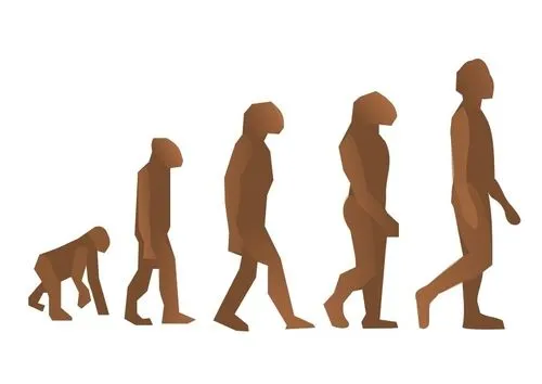Evolución – el hombre no viene del mono (II) « Hiperesfera