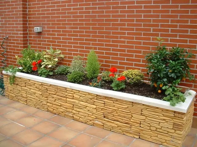 Evolucion de mi jardinera - Foro de InfoJardín Evolucion de mi jardinera - Foro de InfoJardín