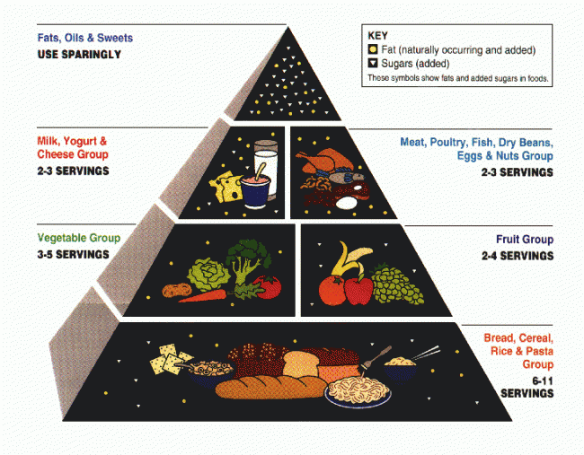 La evolución de la pirámide nutricional
