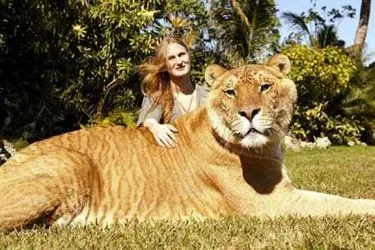 Expediente Oculto: ANIMALES REALES QUE PARECEN IMPOSIBLES Expediente Oculto: ANIMALES REALES QUE PARECEN IMPOSIBLES