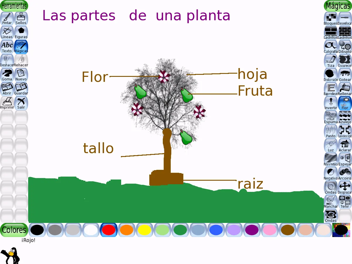 Las Partes De Una Planta and post Dibujos Para Colorear Las Partes De ...