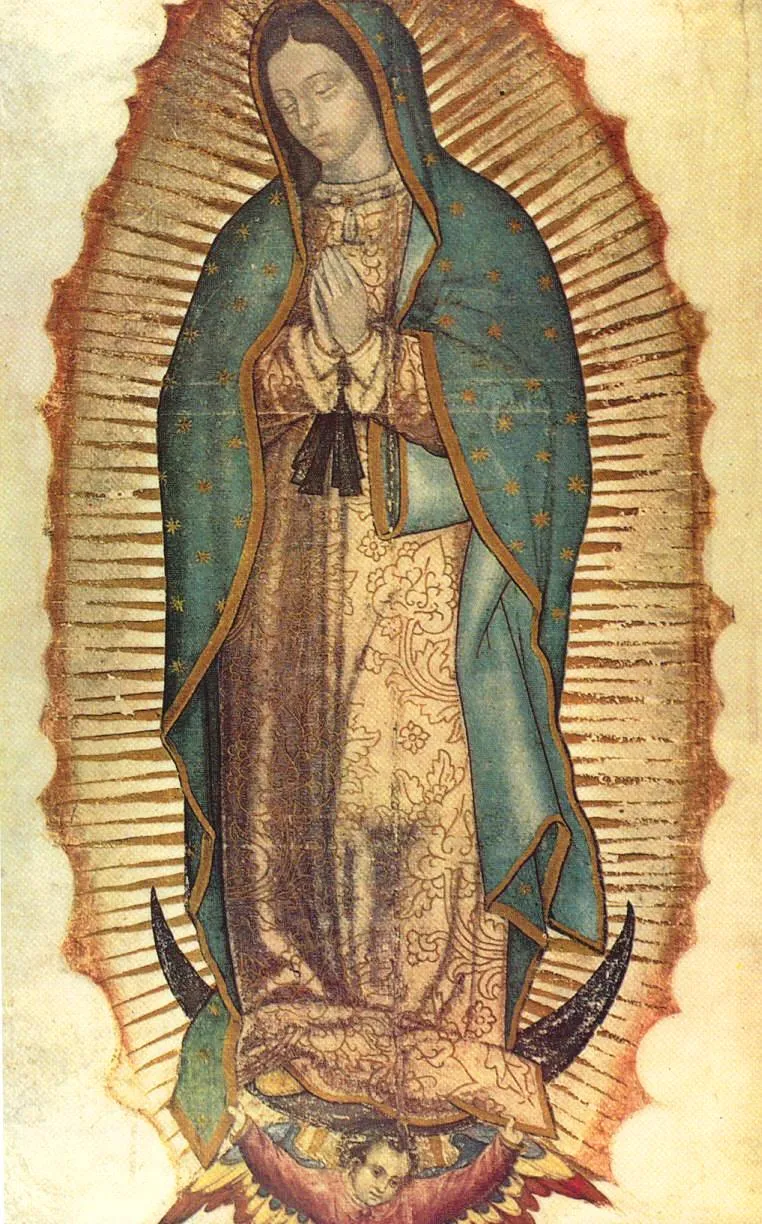  ... hay explicación científica para la Tilma de la Virgen de Guadalupe