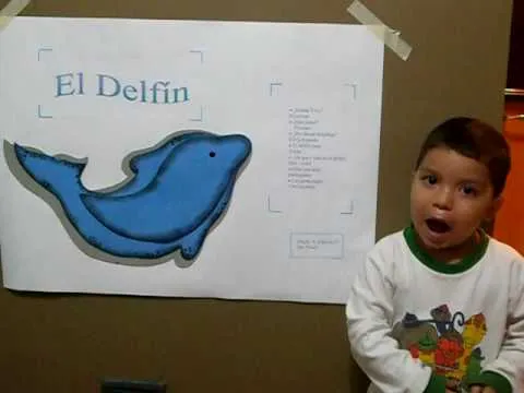 Exposicion del DELFIN niño de 3 años DACHC - YouTube