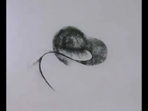 Exposicion de dibujo a carboncillo - YouTube