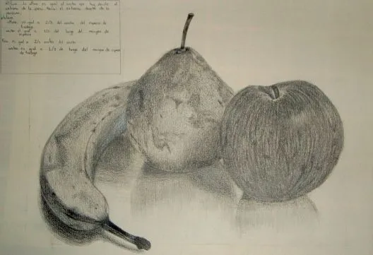 Dibujos con sombra de frutas - Imagui