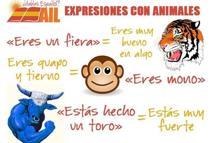 Expresiones con animales | Refranes ~ Dichos ~ Expresiones ...