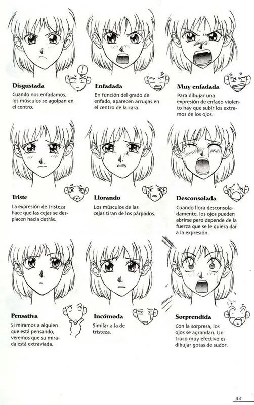 Facial Expressions & Emotions / Expresiones de la Cara y Emociones ...