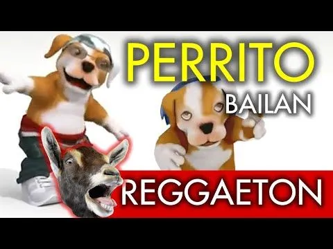 Factor X Xs Perrito Bailando y Cantando Regueton parte 2007 - YouTube