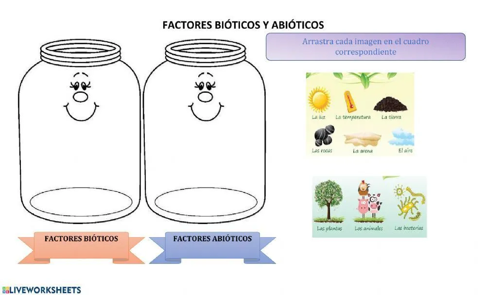 Factores abióticos y abióticos worksheet | Place card holders, Place cards,  Cards