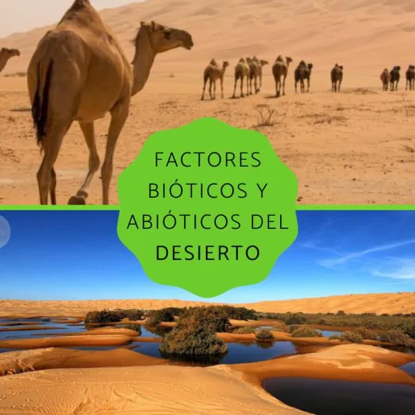 Factores bióticos y abióticos del desierto - ¡RESUMEN!