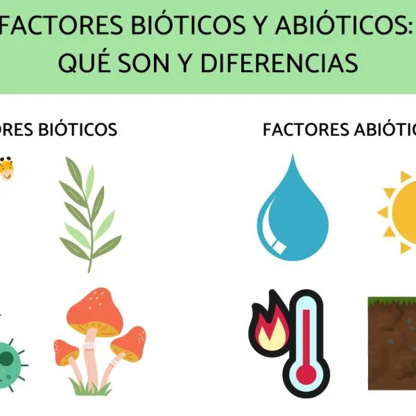 Factores bióticos y abióticos: qué son y diferencias - Resumen