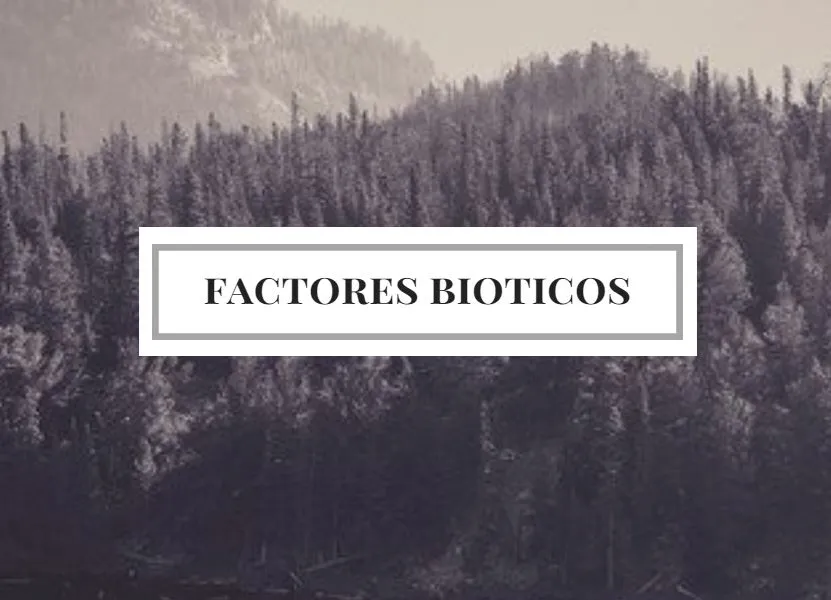 Factores bióticos; Tipos, relaciones, ejemplos y concepto biótico | OVACEN