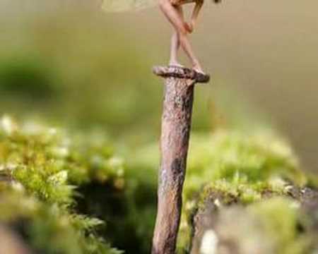 Fairies/Hadas Are they there? Existen? - YouTube
