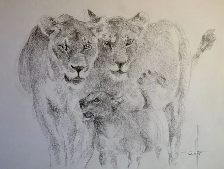 Familia leones a lapiz grafito | Dibujos y Pasteles | Pinterest