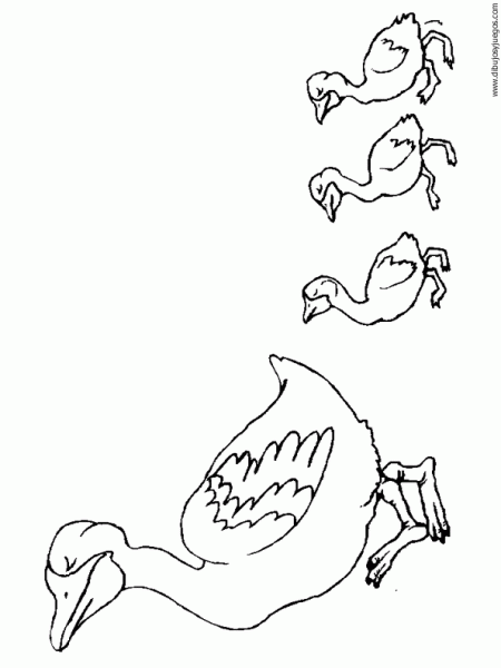Familia de patos para colorear - Imagui