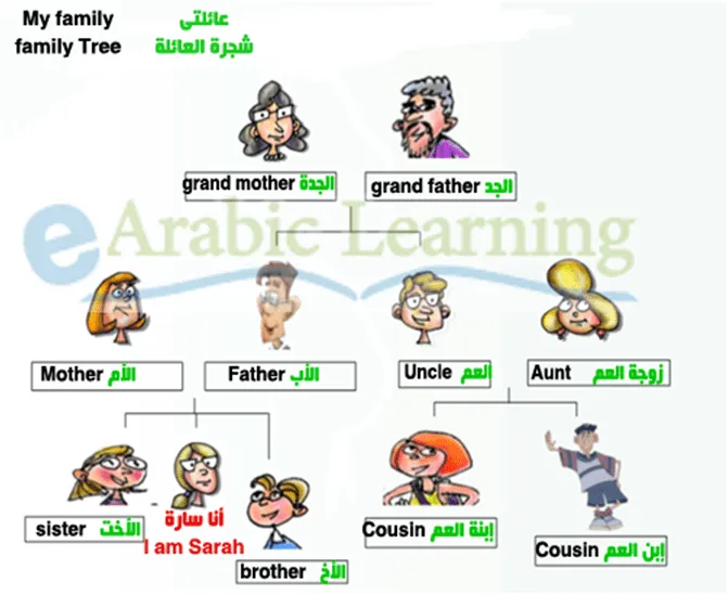 Family members' vocabulary in Arabic | Free Online Arabic courses ...