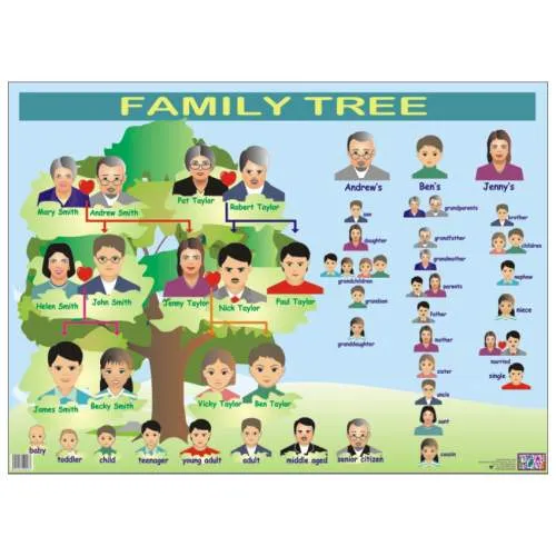 Family Tree - Loterias