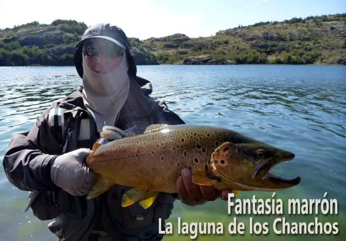 Fantasía marrón, la laguna de los Chanchos - www.lavaguada.cl ...