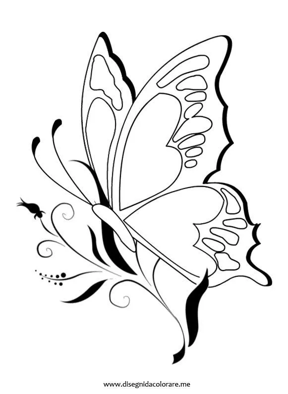 Farfalla sul fiore | Disegni da colorare