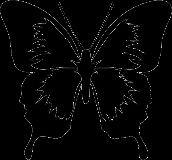 Farfalle stilizzate disegni - Imagui
