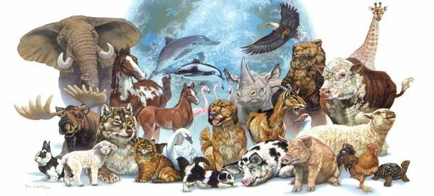 El fascinante mundo de los animales | Mercat Educatiu