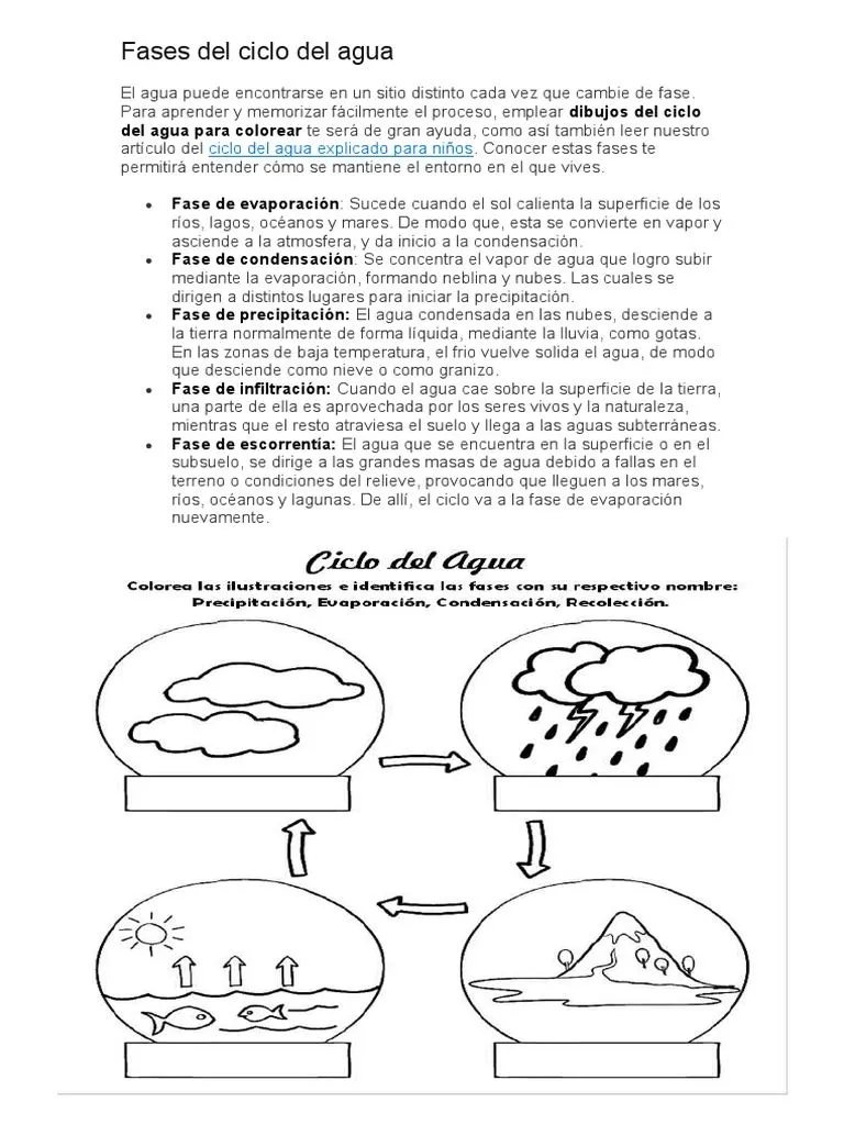Fases Del Ciclo Del Agua | PDF