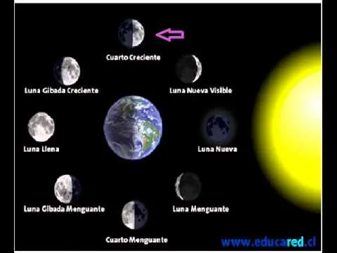 Las 8 fases de la luna para niños - Imagui