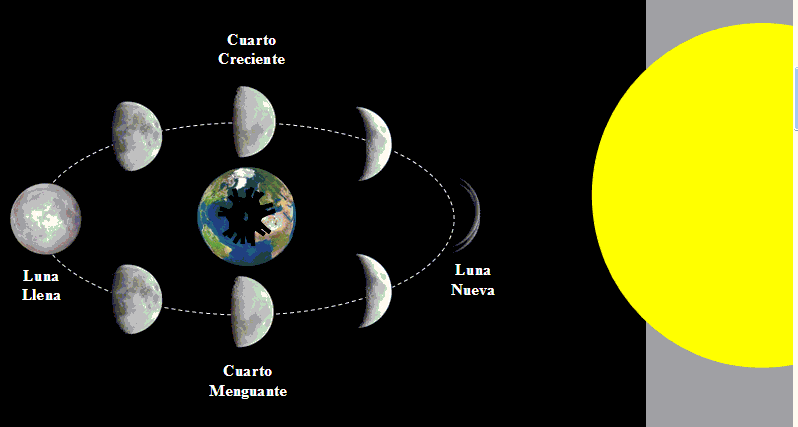 Dibujos de las fases de la luna con sus nombres - Imagui