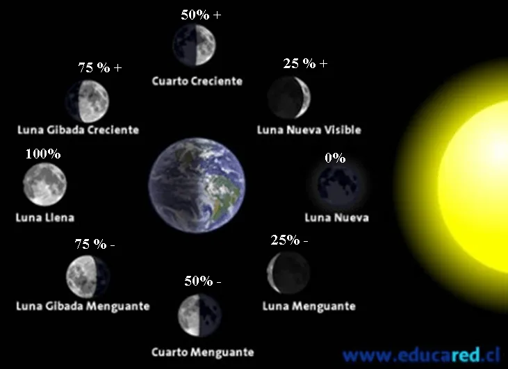 Imagenes de las 4 fases de la luna y sus nombres - Imagui