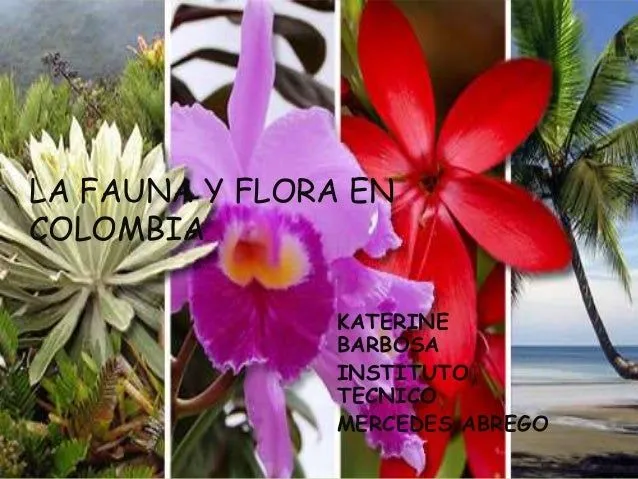La fauna y flora en colombia