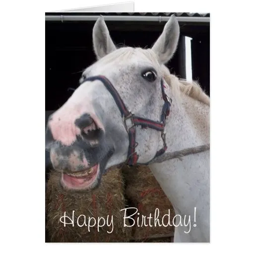 Felicitaciones de cumpleaños con imagenes de caballos - Imagui