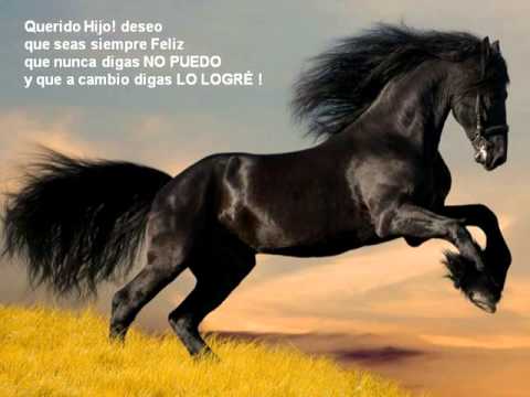 Tarjeta de cumpleaños caballo - Imagui