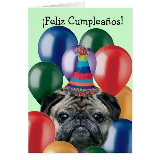 Feliz Cumpleaños Happy birthday pug card | Zazzle