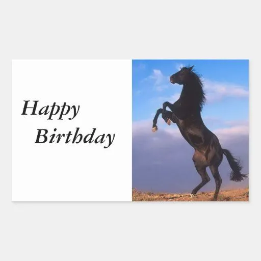 Feliz cumpleaños hermoso del caballo negro que se pegatina ...