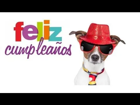 FELIZ CUMPLEAÑOS - [ PERRO DE FIESTA ] - YouTube