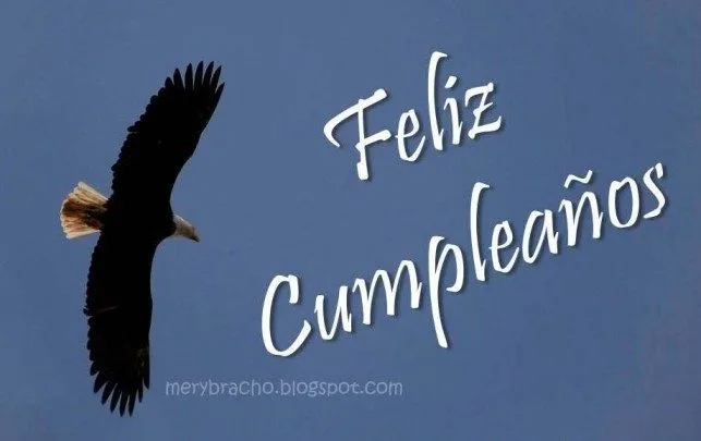 Feliz Cumpleaños Querido Hijo | Entre Poemas y Vivencias