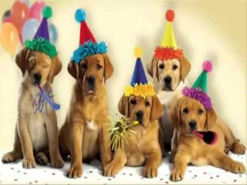 Fotos de perros de feliz cumpleaños - Imagui