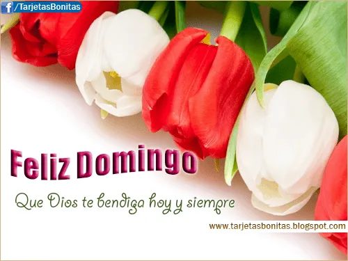 Feliz Domingo - Mensajes Bonitos de Amor para Facebook