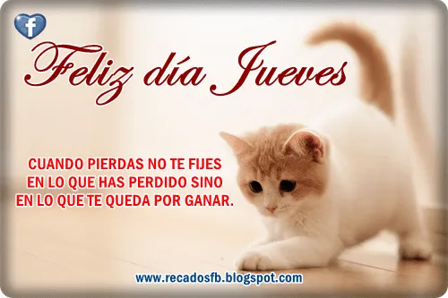 Feliz día Jueves con frases para facebook Imagenes bonitas con ... Feliz día Jueves con frases para facebook Imagenes bonitas con ...