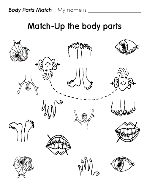 Ficha de las partes del cuerpo en inglés - Imagui