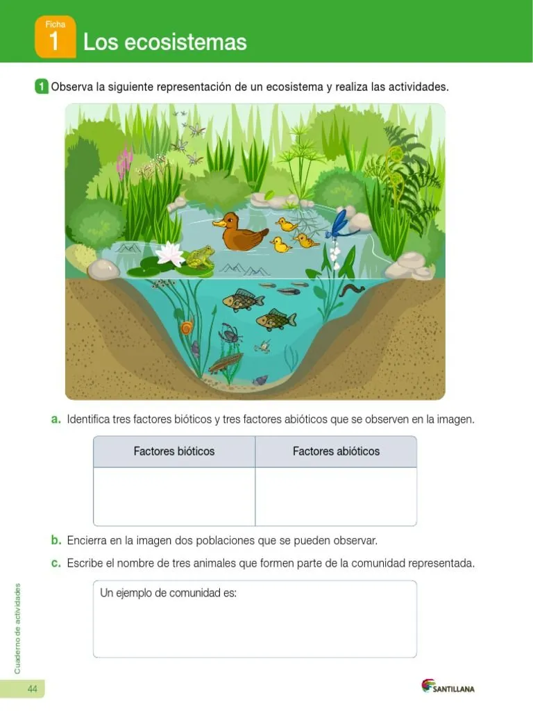Ficha Repaso Ecosistemas | PDF
