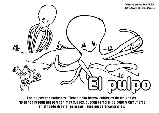 Fichas educativas de animales, recursos educativos infantiles ... Fichas educativas de animales, recursos educativos infantiles ...