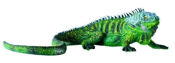 Figura de una iguana - Imagui