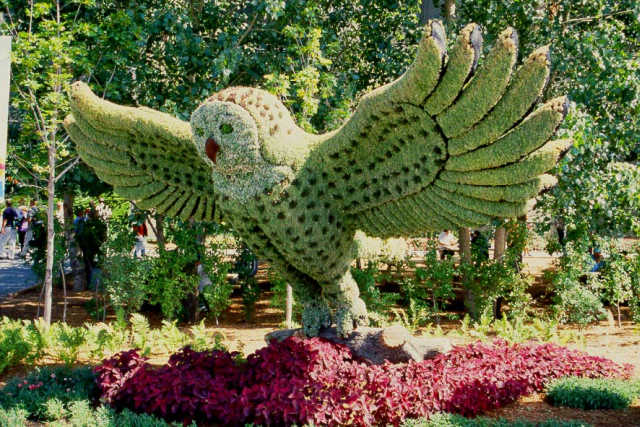 FIGURAS CON ARBUSTOS - PODA ORNAMENTAL O PODA TOPIARIA : TERRAZAS ... FIGURAS CON ARBUSTOS - PODA ORNAMENTAL O PODA TOPIARIA : TERRAZAS ...