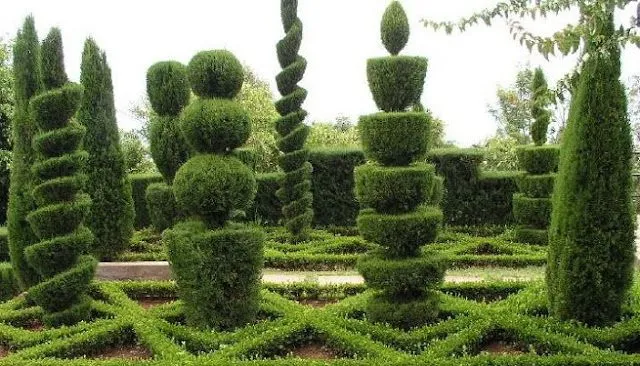 FIGURAS CON ARBUSTOS - PODA ORNAMENTAL O PODA TOPIARIA : TERRAZAS ... FIGURAS CON ARBUSTOS - PODA ORNAMENTAL O PODA TOPIARIA : TERRAZAS ...