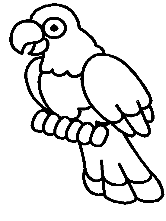 Dibujo de ave para colorear - Imagui