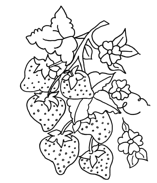 Moldes de frutas para pintar - Imagui