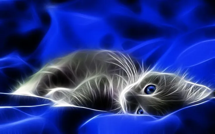 Fire Cat Wallpaper | ... -hd-wallpapers-download-free-3d-desktop ...